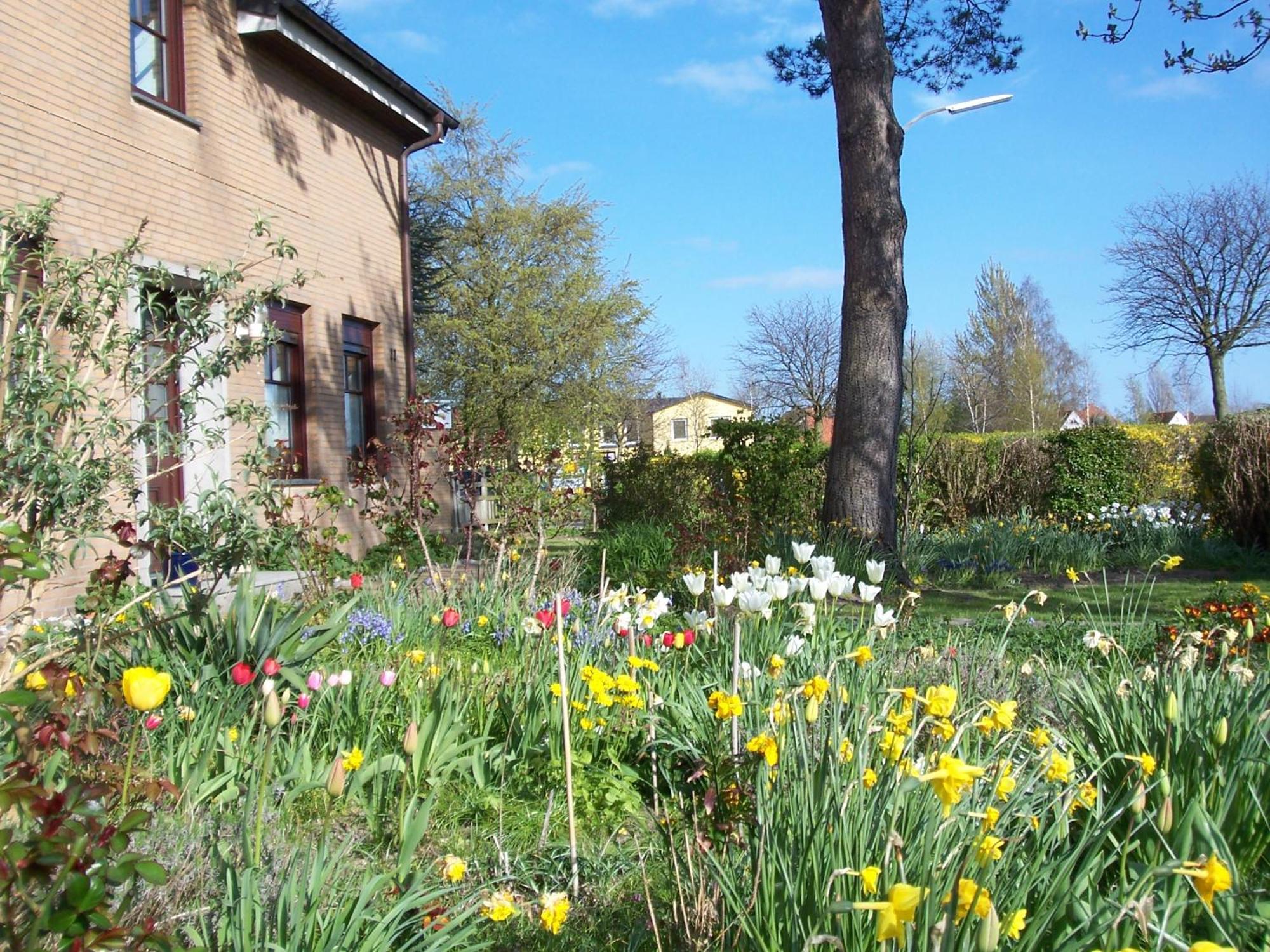 Villa Kronsteert Dahme (Schleswig-Holstein) Exterior foto